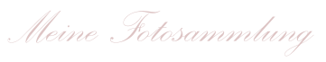 Meine Fotosammlung